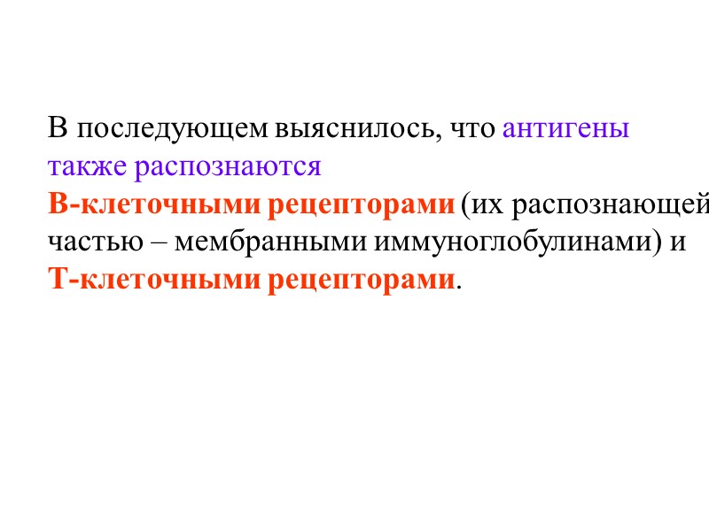 В последующем выяснилось, что антигены также распознаются  В-клеточными рецепторами (их распознающей частью –